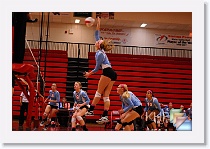 Set 3 * (142 Slides)